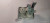 0-02-05-63046742d512c7965a1c3cbc0d775275ba1e8acb15bb7dd67760ddbbd1d0225d_f53e998b949cc194
