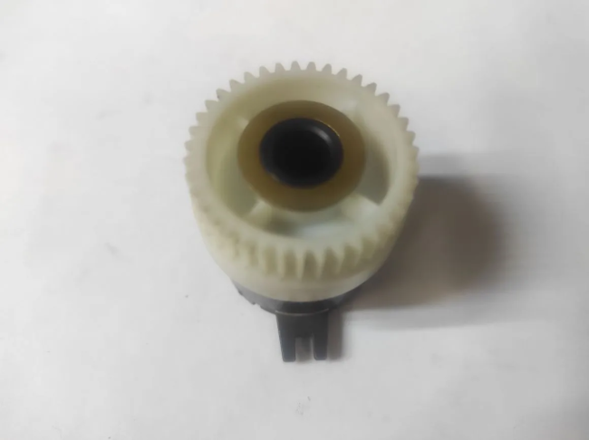 IMG_20250804_182954 IMG_20250804_182954