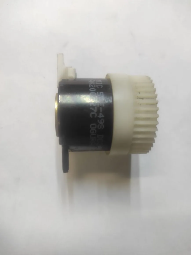 IMG_20250804_182959 IMG_20250804_182959